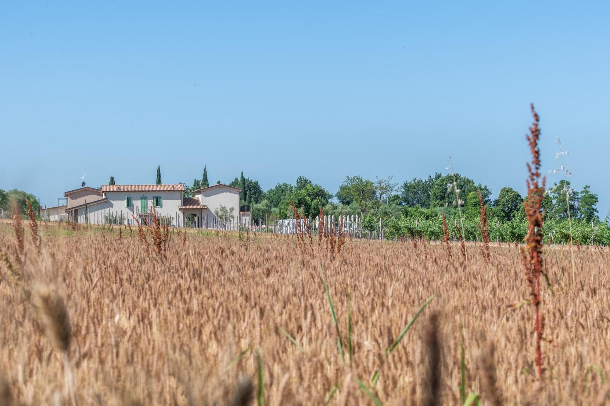 Hotel Natiia Relais - Adults Only Lazise Zewnętrze zdjęcie